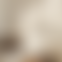 How to Choose a Sofa That Lasts a Lifetime