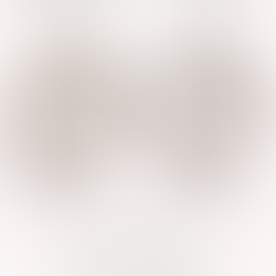 Agreeable Gray vs Repose Gray: The Comparison That Finally Settles It