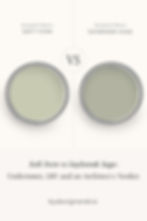 Benjamin Moore Soft Fern vs Saybrook Sage