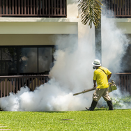 The Beginner's Guide to Creating a Pest-Free Home: Essential Design and Prevention Tips