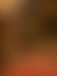 Design Inspiration in Film: How to Bring Movie Magic Into Your Home