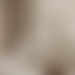 Wooden Wall Cladding Interior Ideas That Solve the Bare Wall Problem