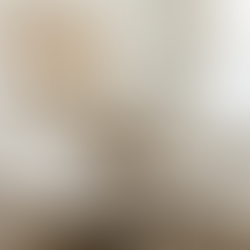 Ecru vs Cream: What’s the Difference in Interior Design?