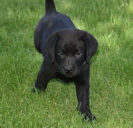 5-25-26 Maggie MB Vinny (609x640).jpg
