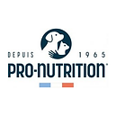 Beige and White Be Yourself Square Pillow (3).png