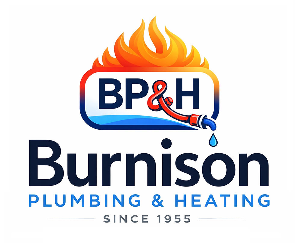Burnison Plumbing and Heating Logo Idea 2.jpg