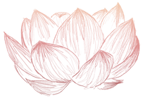 lotus alone 2.png