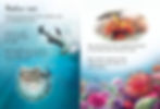 Thumbnail: On the Beach : Usborne Beginners