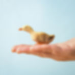Thumbnail: A hand holding the Bumbu Toys's wooden duck figurine toy