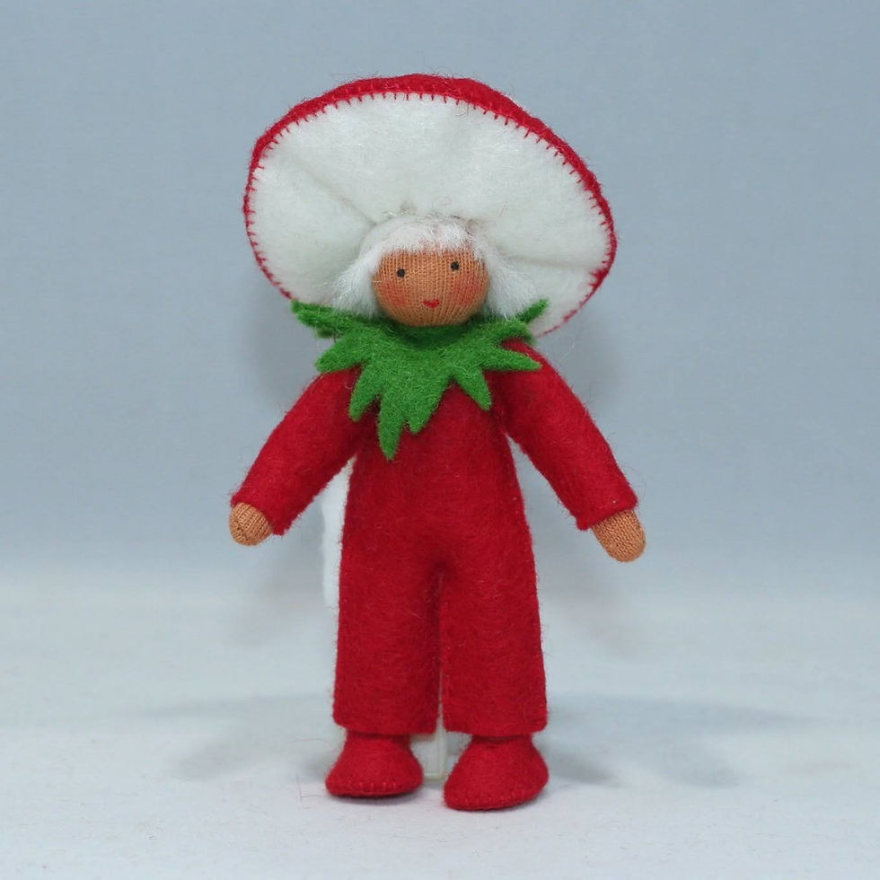 Ambrosius-Eco Flower Fairies Red Mushroom Father Fairy Felt Doll
