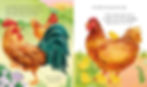 Thumbnail: One Little Chick: Usborne Life Cycles