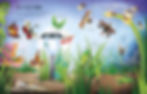 Thumbnail: See Inside Bugs and Butterflies  Emily Bone