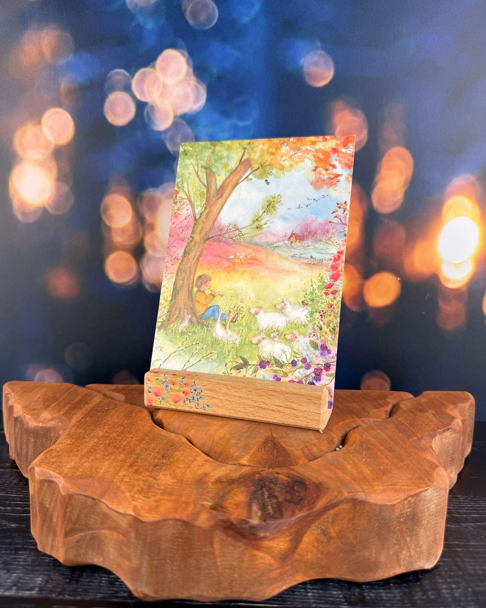 Postcard Holder- Pink and Blue Wildflowers by Anne Illustrates