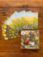 Brambly Hedge Notecards with Envelopes-Pack of 8