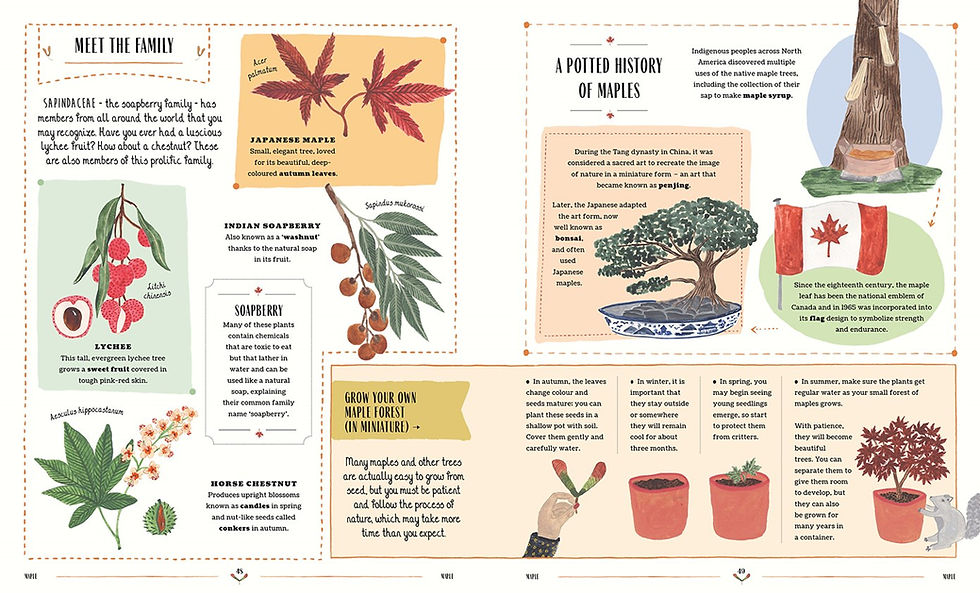 Thumbnail: Grow: A Family Guide to Plants and How to Grow Them Book