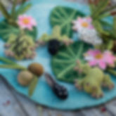 GUS + MABEL Felt Frog Life Cycle Set