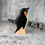 Thumbnail: HolzWald Handmade Wooden Penguin