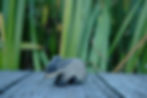 Thumbnail: HolzWald Handmade Wooden Badger