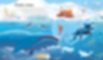 Thumbnail: Look Inside Seas and Oceans: Usborne
