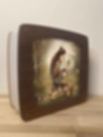 Iris Esther's "Beat of My Own Drum" translucent panel in a wooden lamp frame.