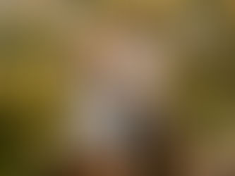 Capturing Love in Bloom: My Best Friend's Stunning Engagement Photos at Tillery Street Greenhouse