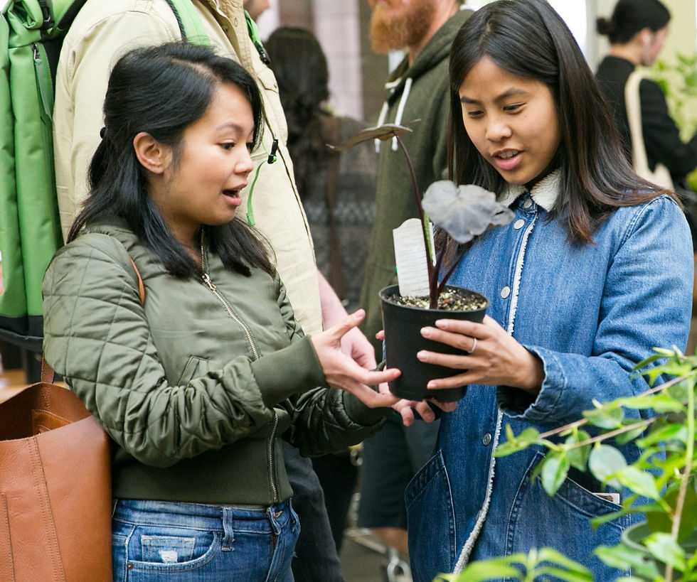 End of Season Plant Sale