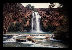 NUTRI-STEAMERMODEL2-38 (1)