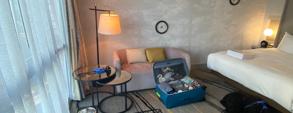 Tree Top King room at The Starling Atlanta Midtown