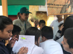 Palmitas_12 oct (12)