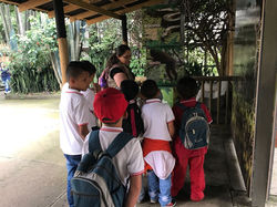 Zoo_31 oct (1)