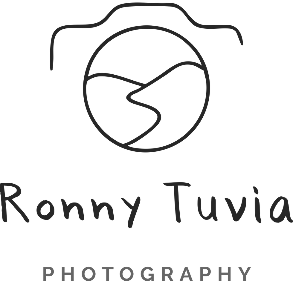 לוגו רוני טוביה.png