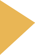 Polygon 3.png