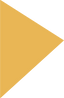 Polygon 3.png