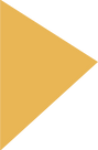 Polygon 3.png