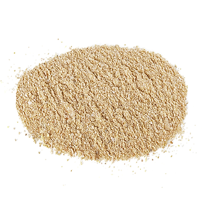 Chitosan.png