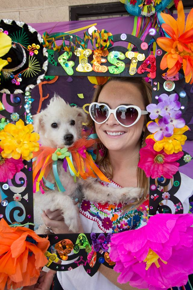 Fiesta 4 Paws 2014 73.jpg