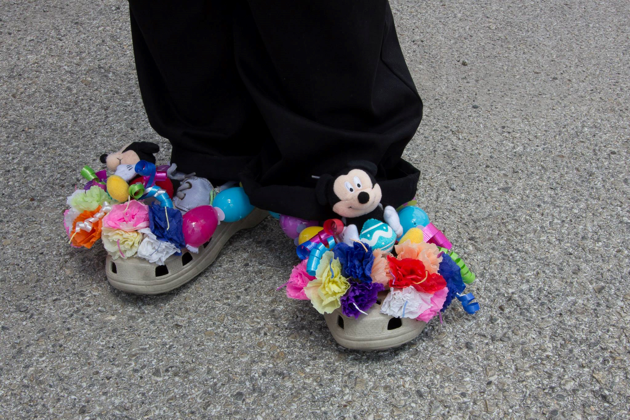 Fiesta 4 paws 2014 80.png