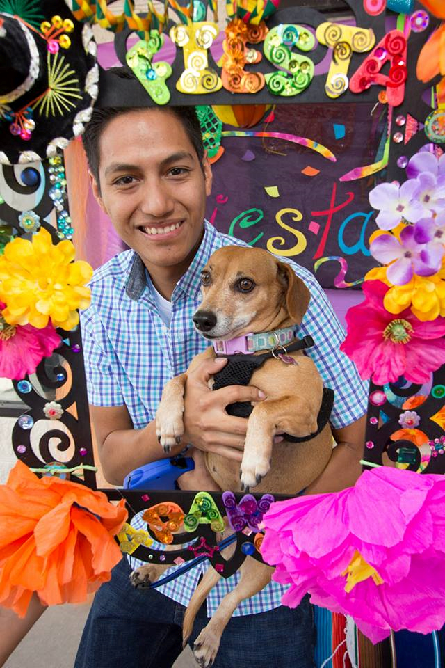 Fiesta 4 Paws 2014 74.png