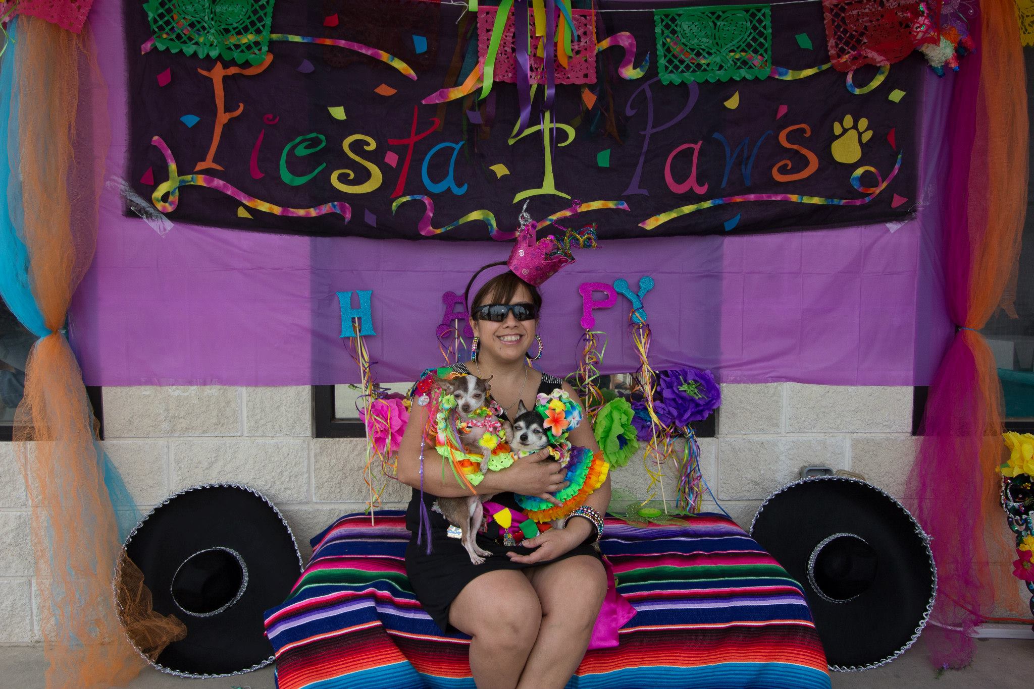 Fiesta 4 Paws 2014 30.jpg