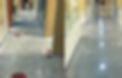 fullsizeoutput_560a.jpeg