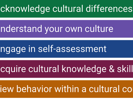 Culturally-Relevant Youth Mentorship for Inclusive Environmental Action