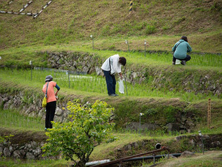 灯りをつけるスタッフ、ボランティアの方々