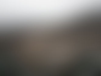 冬の丸山千枚田