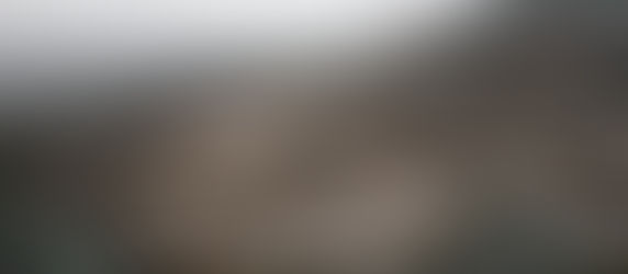 冬の丸山千枚田