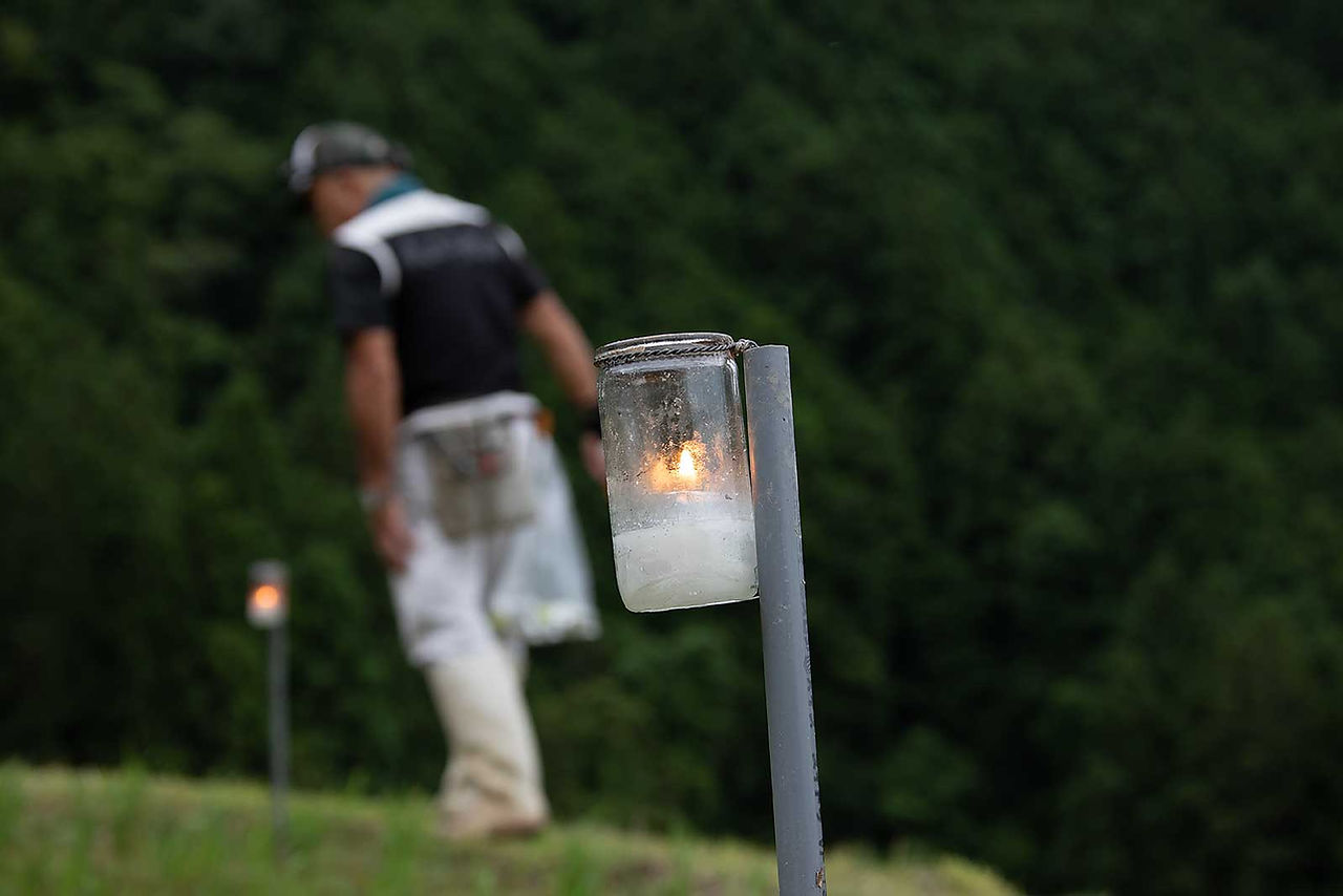 やさしい光が丸山千枚田を灯します