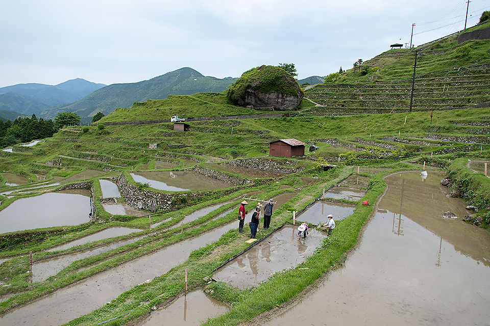 丸山千枚田