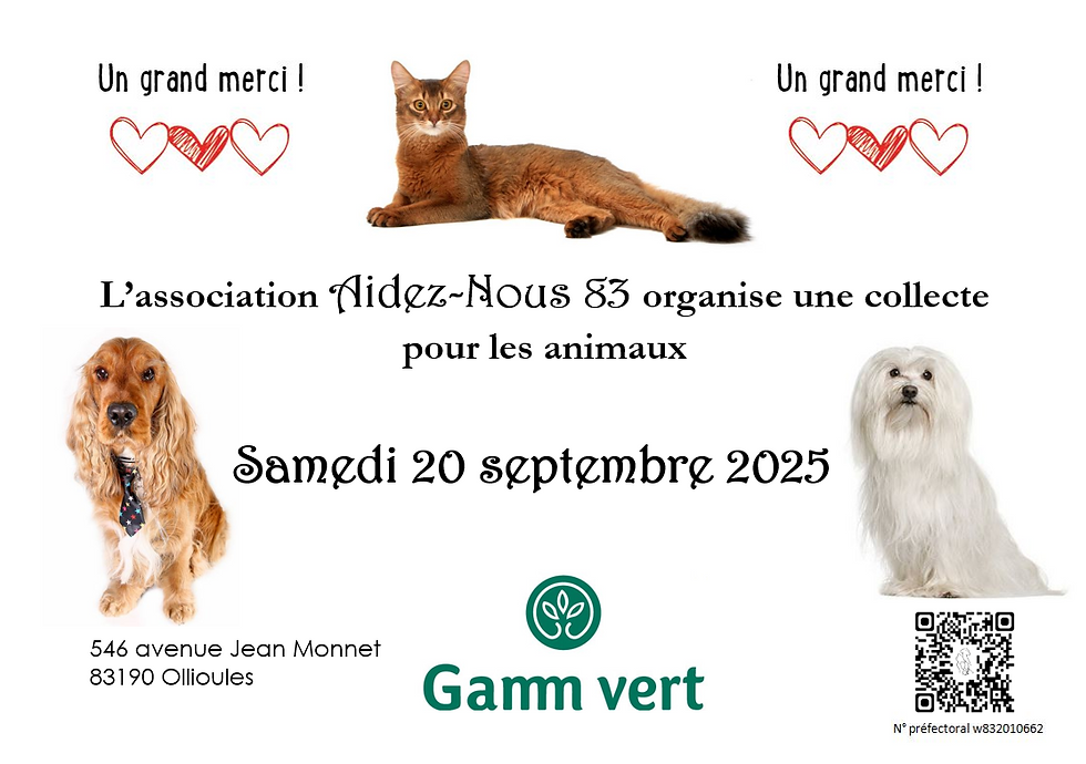 202509_collecte-gamm-vert