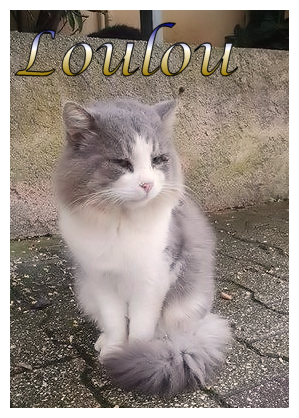 Loulou