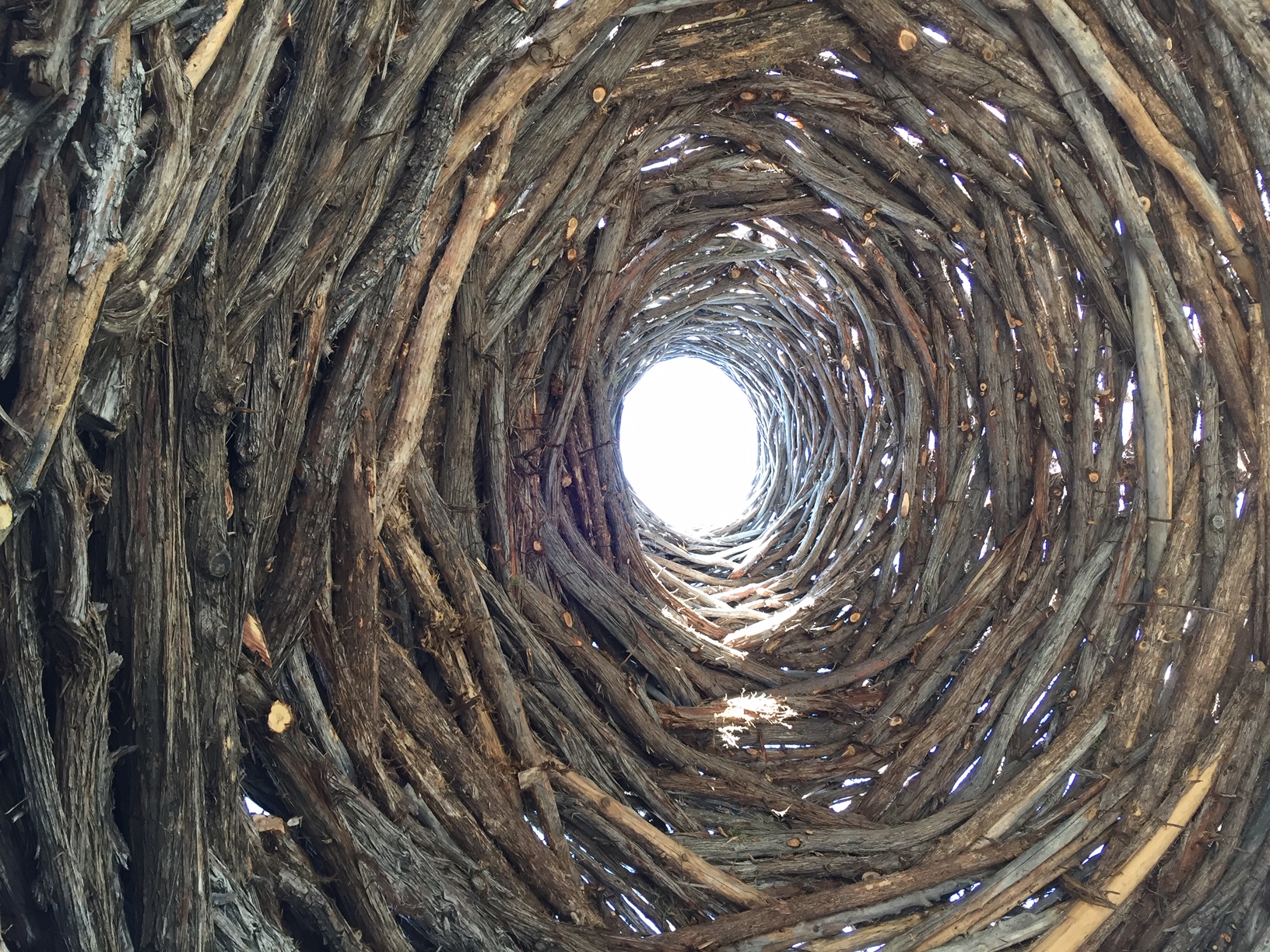 Tree roof