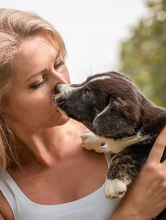 Hund im Alltag, Hundebetreuung in Walenstadt, Madlyn Drogoin